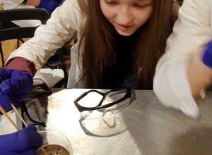 Ja-również-chcę-pokeksperymentować