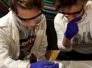 NIe-ma-to-jak-wspólna-praca...