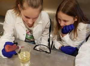 Skupienie-w-eksperymentowaniu-to-podstawa