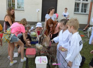 SP94 Warszawa_ Festyn 2017_29