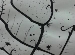 6 (Medium)