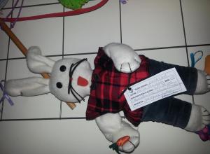 20150603_093327 (Medium)