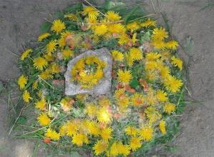 13183043_996949313693203_972177259_n (Medium)