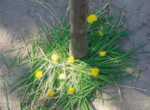 13219697_996949247026543_775187597_n (Medium)