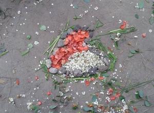 13219775_996949327026535_1844823847_n (Medium)