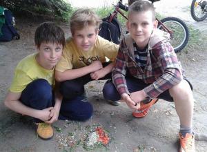 13219929_996949363693198_1678281144_n (Medium)