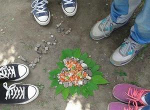 13220005_996949377026530_605092522_n (Medium)