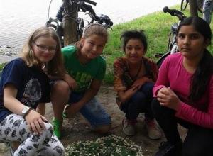 13220016_1003082326413235_1676892140_n (Medium)