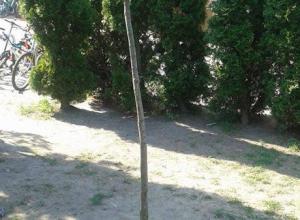 13228108_996949277026540_1218955146_n (Medium)