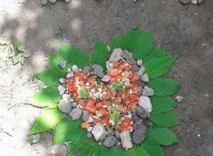 13231179_996949387026529_1676503031_n (Medium)