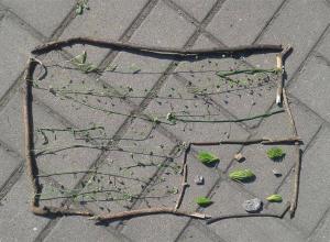 13233283_996949307026537_700587190_n (Medium)