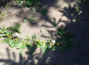 13233348_996949240359877_1548815650_n (Medium)