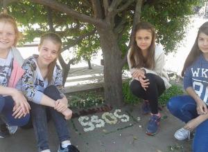 13233375_996949243693210_1980275057_n (Medium)