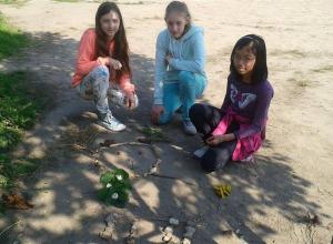 13235864_996949297026538_865806626_n (Medium)