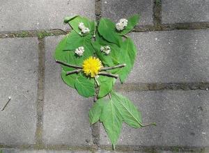 13235892_996949263693208_41406714_n (Medium)