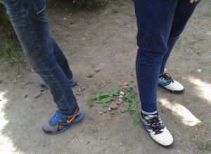 13236248_996949343693200_1342301878_n (Medium)