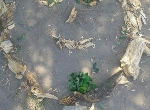 13250283_1001999666521501_1773988067_n (Medium)