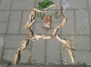 13250439_1002002263187908_1901231638_n (Medium)