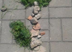 13281782_1002003926521075_1343646804_n (Medium)