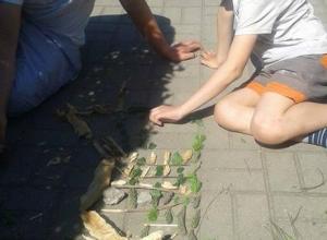 13281841_1002000403188094_1768517667_n (Medium)