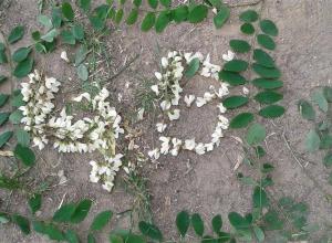 13285804_1003082293079905_1720730160_n (Medium)