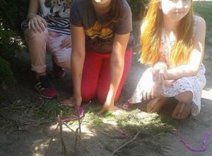 13288823_1001995536521914_1562770466_n (Medium)