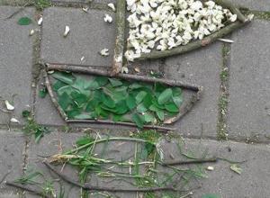 13295143_1003082313079903_1423071224_n (Medium)