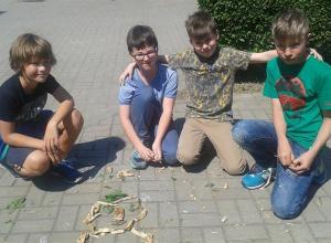 13295192_1001998753188259_536853282_n (Medium)