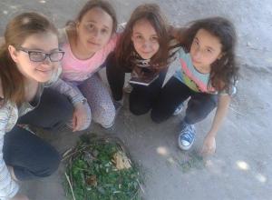 13295295_1001997726521695_2073944903_n (Medium)