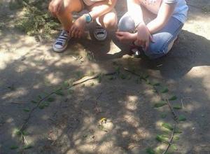 13296052_1001997419855059_928783478_n (Medium)