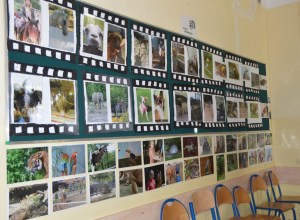 SP94 Warszawa_ Ogrody Nauki i Sztuki_40