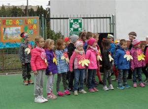 SAM_0304 (Medium)
