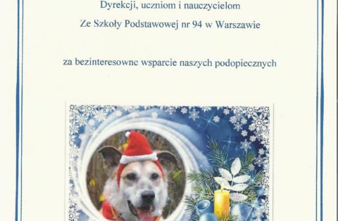 SCHRONISKO „NA PALUCHU”