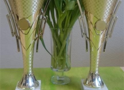 Kolejny sukces naszych zawodników