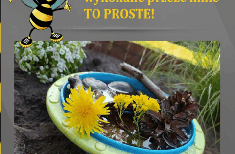Poidełko dla pszczół