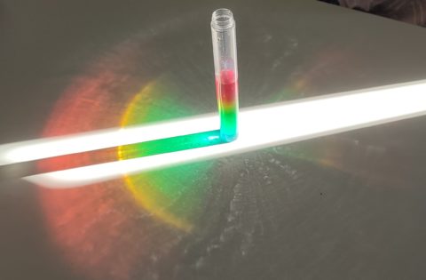 WARSZTATY PRZYRODNICZE DLA KLAS 4