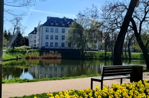 Program Szkoła Demokracji