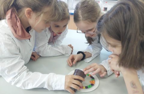 ZAJĘCIA ŚWIETLICOWE